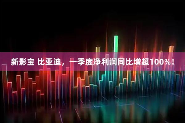 新影宝 比亚迪，一季度净利润同比增超100%！