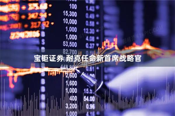 宝钜证券 耐克任命新首席战略官
