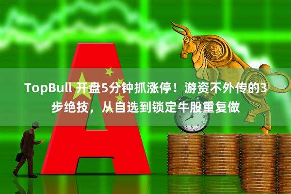 TopBull 开盘5分钟抓涨停！游资不外传的3步绝技，从自选到锁定牛股重复做