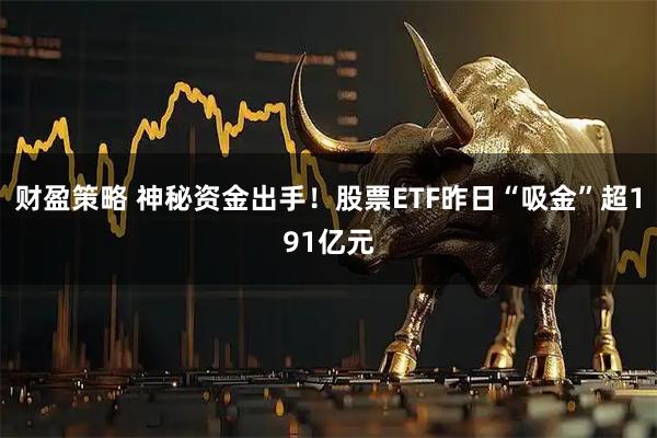 财盈策略 神秘资金出手!股票ETF昨日“吸金”超191亿元