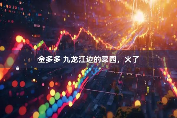 金多多 九龙江边的菜园，火了