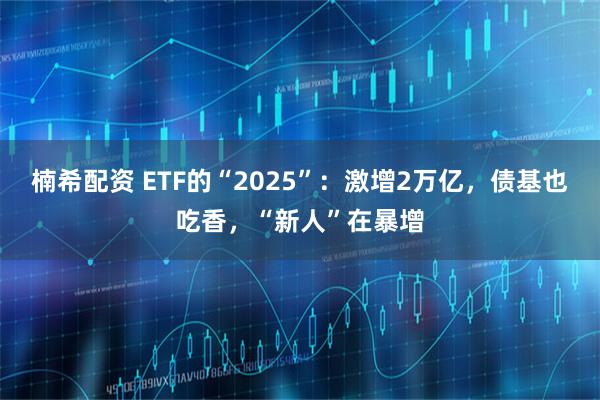 楠希配资 ETF的“2025”：激增2万亿，债基也吃香，“新人”在暴增